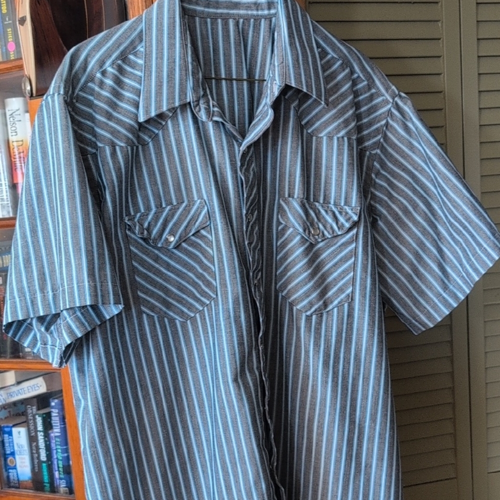 Men's Short-Sleeve Button-Up Shirt in Blue and Black Stripe